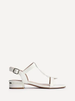 Linzi DELUXE New