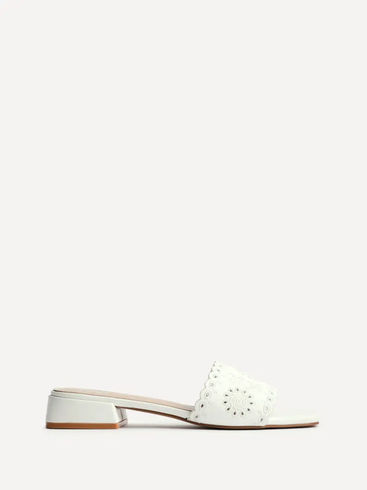 Linzi LAVENDER Online
