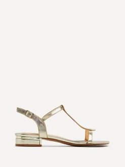 Linzi LAVISH New