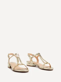 Linzi LAVISH New