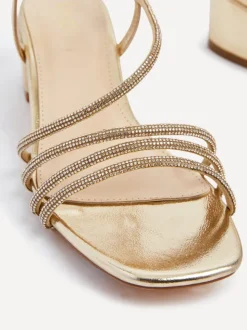 Linzi RIRI New