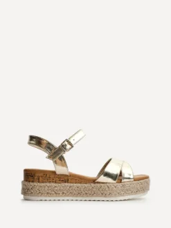 Linzi SARELLI New